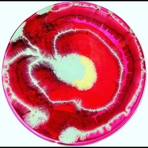 Meet your Posher, Ravi